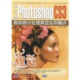 视觉-中文版PHOTOSHOPCS3数码照片处理典型实例精讲