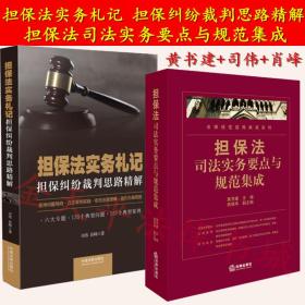 全新正版多地包邮二本套担保法实务札记 担保纠纷裁判思路精解+担保法司法实务要点与规范集成