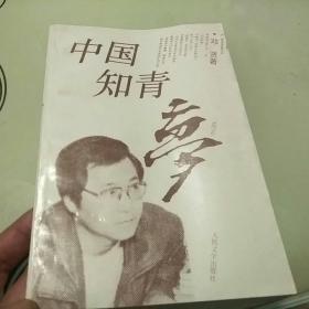 中国知青梦