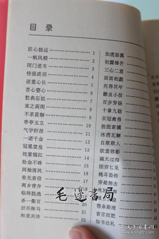 六用成语漫画 3