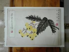 荣宝斋画谱（八）齐白石绘花鸟草虫部分