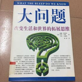 大問題──改變生活和世界的拓展思維：改变生活和世界的拓展思维