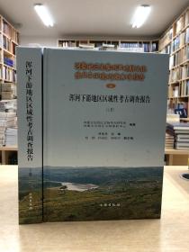 浑河下游地区区域性考古调查报告（全二册）