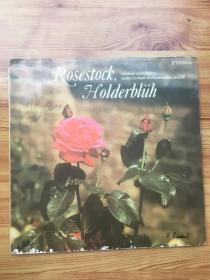rosestock, holderbliih 黑胶 封面很多英文签名