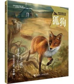 黑鹤动物小说儿童彩绘拼音版：狐狗