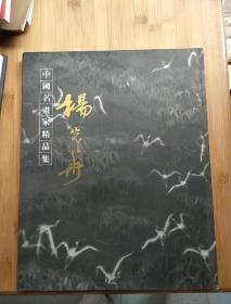 中国名画家精品集：杨光华