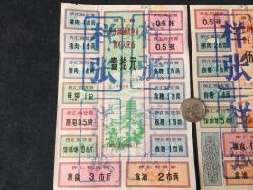 稀少票证样张 1982年-- 浙江省侨汇商品供应证  面值五元和拾元 2张--样张2