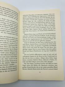 Lew N. Tolstoj: Hadschi Murat -- Eine Erzählung aus dem Land der Tschetschenen 德文原版 -《列夫·托尔斯泰：哈吉·穆拉特——车臣人的故事》