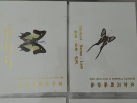 东南亚蝴蝶珍品---蝴蝶标本【20张】