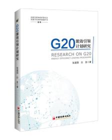 G20能效引领计划研究