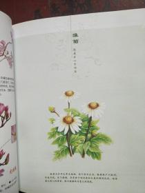 华夏万卷·1分钟爱上色铅笔：浪漫花草绘