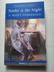 Tender is the Night 夜色温柔