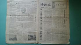 湖南日报  农村版  1973年690期