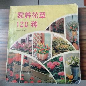 家养花草120种