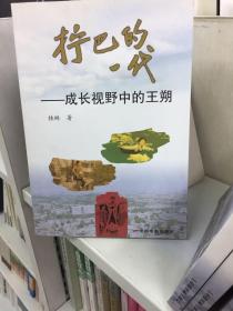 拧巴的一代:成长视野中的王朔