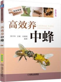 养蜂技术书籍 高效养中蜂