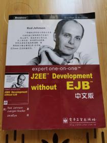 expert one-on-one J2EE Development without EJB 中文版