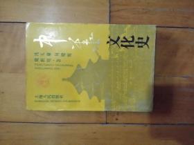 中华文化史   上   ……文化生态 ……界说……地理背境……经济土壤……社会结构……      冯天瑜  何晓明  周积明  著    上海人民       如图，有渍痕及一划痕。