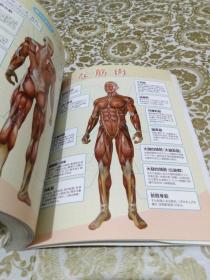 体が硬い人のためのストレッチ（拉伸全书：上班族必看的肌肉伸展训练图解 ）（日文原版）