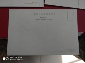 中国人民邮政明信片；五龙飞天，【5枚 ，湖南常德地区邮电局】