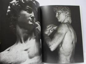 Michaelangelo : the Complete Sculpture, Painting, Architecture