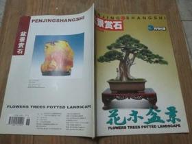 花木盆景盆景赏石《2006年3月号B版》