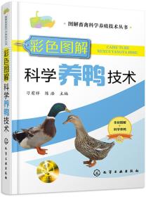 养鸭技术书籍 图解畜禽科学养殖技术丛书--彩色图解科学养鸭技术