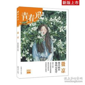 青春风特辑2 微凉（年刊）疯狂阅读 校园文学（新版）--天星教育