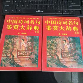 中国诗词名句鉴赏大辞典（上下）