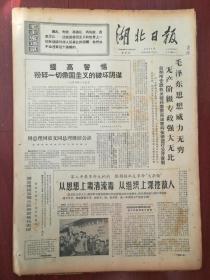 湖北日报1969年10月23日，兰州市专政机关破获美帝间谍案，江岸机务段燃料厂工人狠揭猛批反革命会的照片，申胜岭、蔡泽民、罗田元画作，武汉部队空军某部飞行员刘光、谢振东、马树生、杨德金、黎庆坤、蒋玉龙等战斗生活纪实，刘秉森诗，电影预告《珍宝岛不容侵犯》《海岸风雷》《南征北战l》《红灯记》《广阔的地平线》《地道战》。