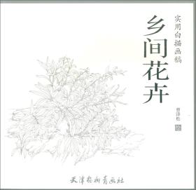 乡间花卉/实用白描画稿