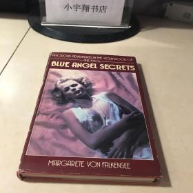 blue angel secrets  (蓝色天使的秘密)