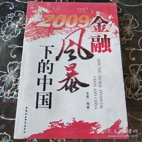 2009金融风暴下的中国