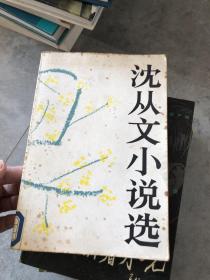 沈从文小说选