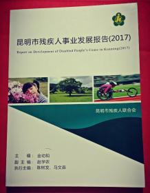 昆明市残疾人事业发展报告(2017)