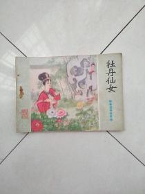 牡丹仙女