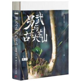 茶叶复兴：易武与古六大茶山