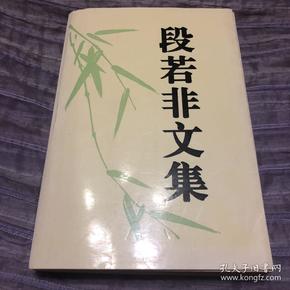 段若非文集（红色理论家）