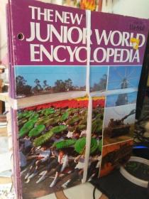 THE NEW JUNIOR WORLD ENCYCLOPEDIA(1.3.4.5.6.8.9.10.11.13-35.37.38.39-44.45.46.47.48.49.52)【共46本】书脊上有孔 详见图