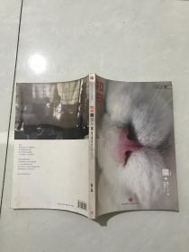 智日.猫05