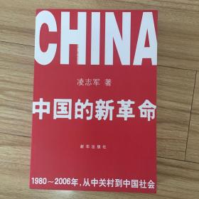 中国的新革命：1980-2006年，从中关村到中国社会