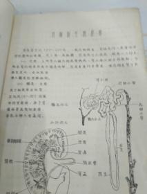 急性肾功能衰竭 1973年 青岛医学院内科教研组