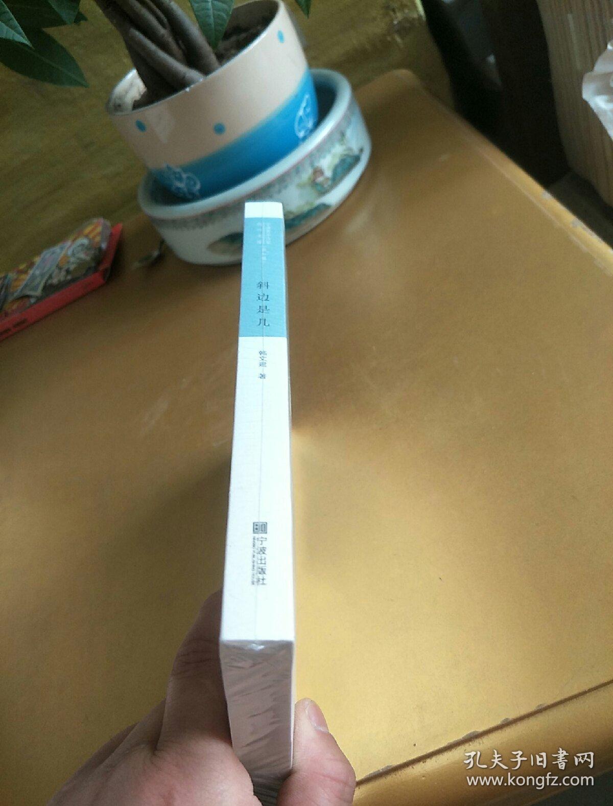 斜边是几/宁波青年作家创作文库（第4辑）