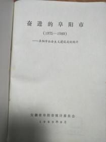 《奋进的阜阳市1975—1989》（16开硬精装仅印500册！）