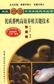 法国番鸭鸳鸯鸭养殖技术书籍 优质番鸭高效养殖关键技术-中国三峡出版社9787802231047