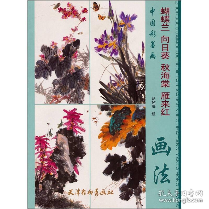 中国彩墨画：蝴蝶兰 向日葵 秋海棠 雁来红画法