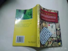 钢笔字帖最新技法80小时速成示范A