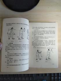 杨禹廷太极拳系列秘要集锦