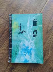 盲点 北方文艺出版社 1987年版