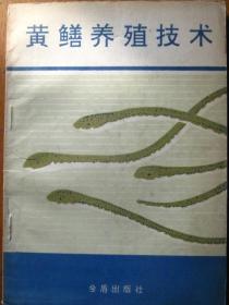黄鳝养殖技术